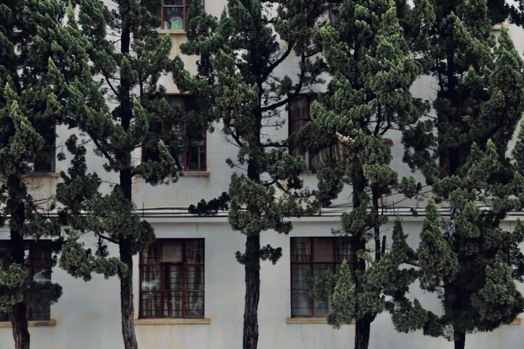 西南林业大学(微信)