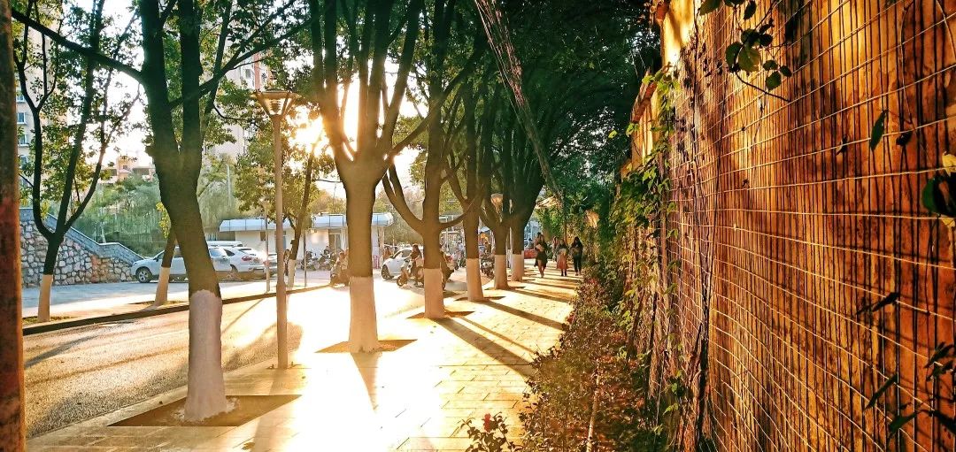 西南林业大学(微信)