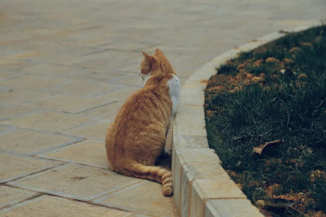 西南林业大学(微信)