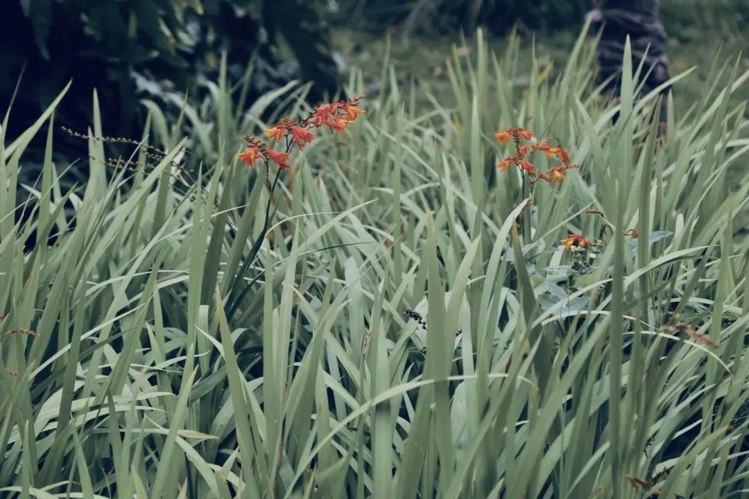 西南林业大学(微信)