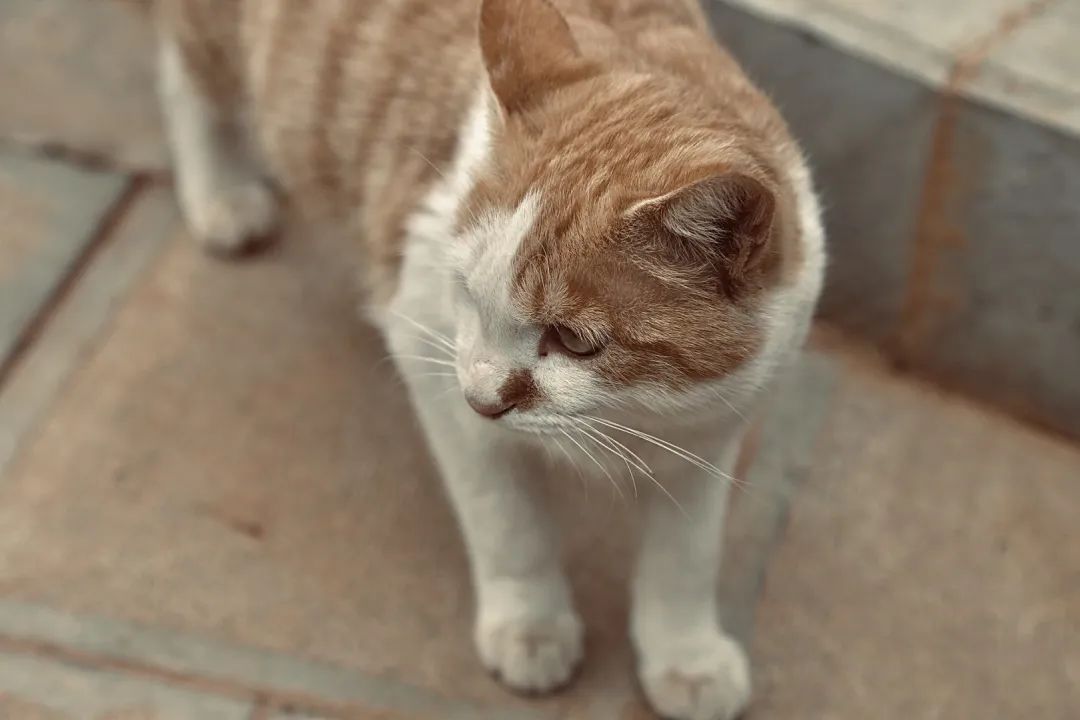 西南林业大学(微信)