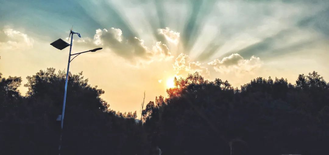 西南林业大学(微信)