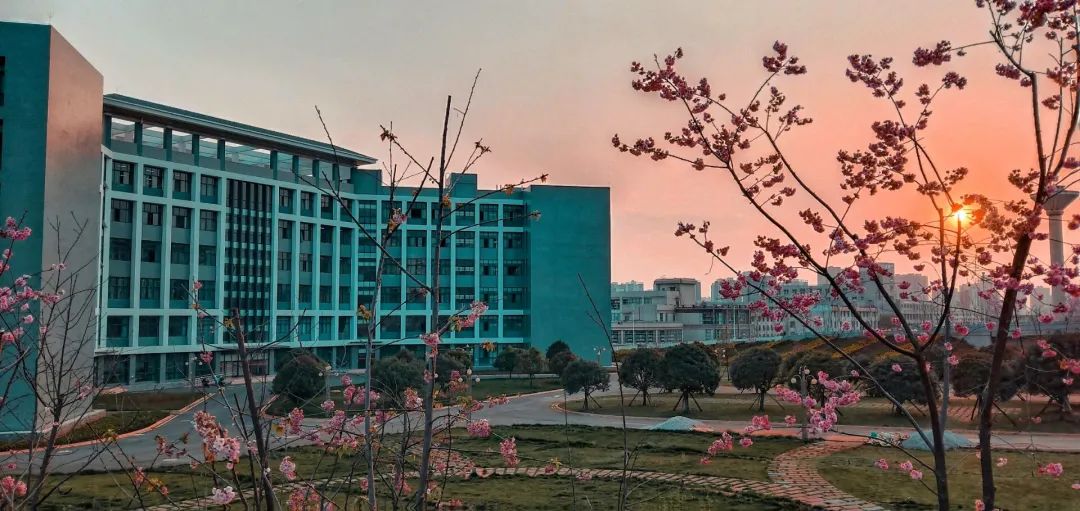 西南林业大学(微信)