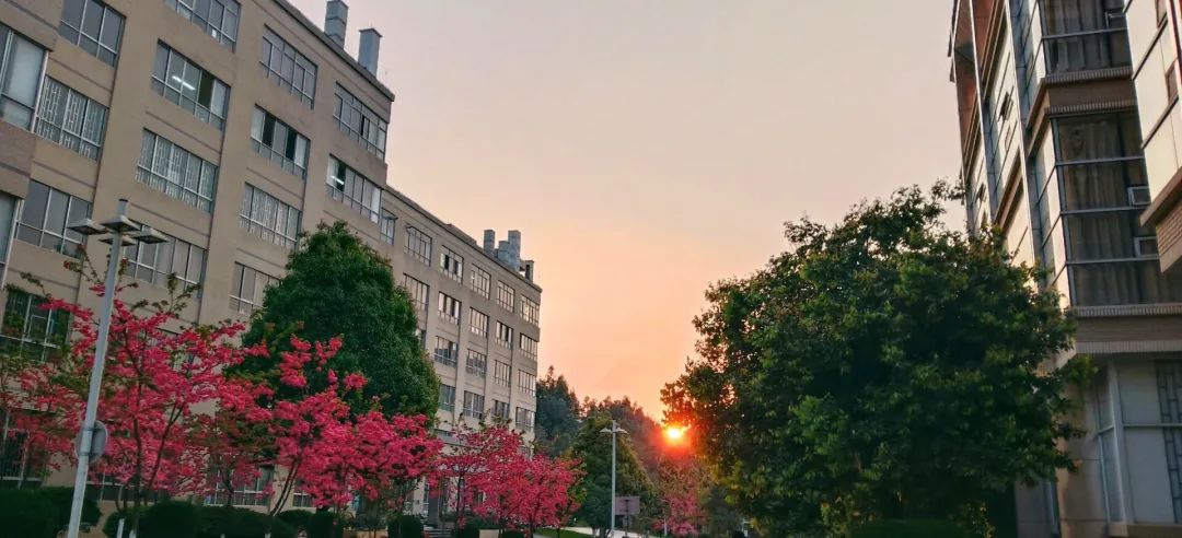 西南林业大学(微信)