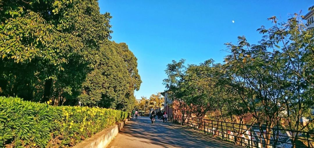 西南林业大学(微信)