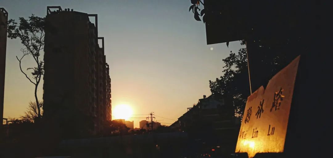 西南林业大学(微信)