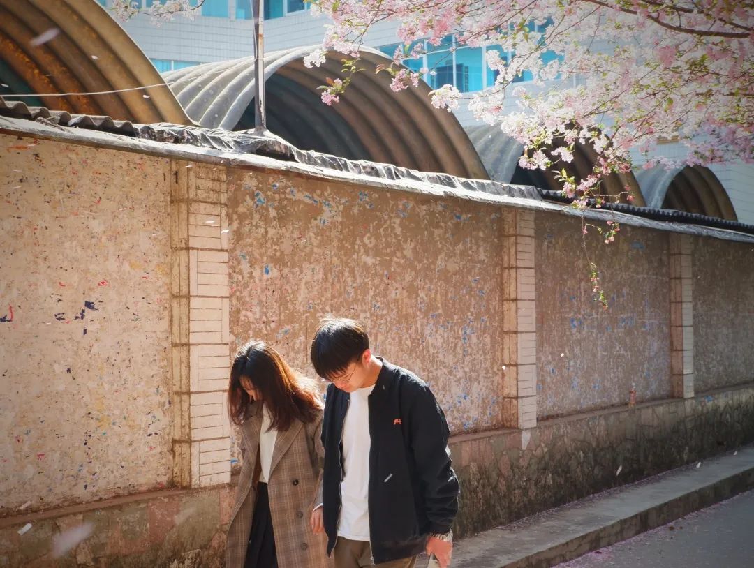 西南林业大学(微信)