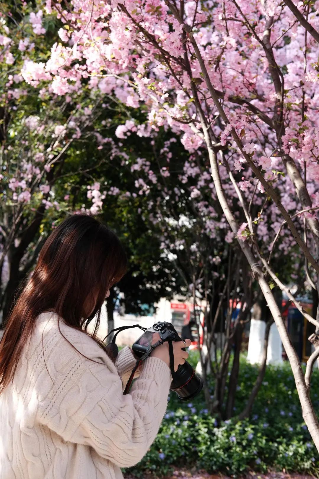 西南林业大学(微信)