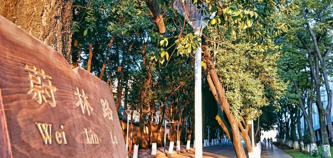 西南林业大学(微信)