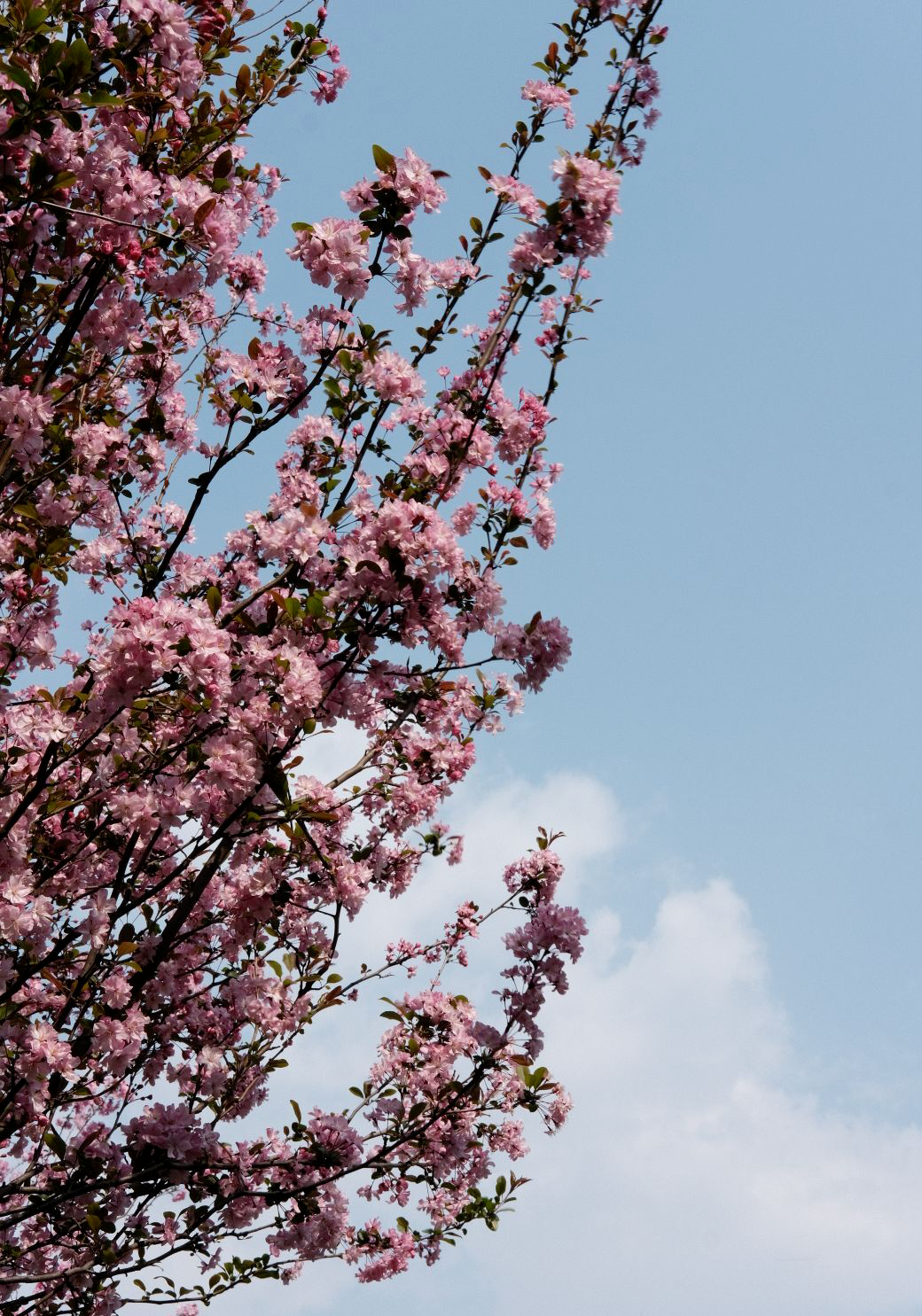西南林业大学(微信)
