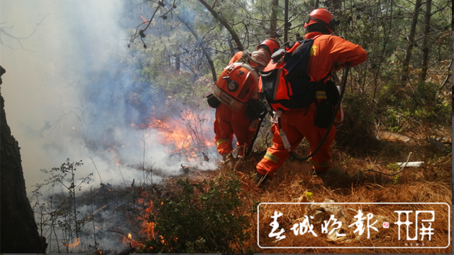 春城晚报(微信)