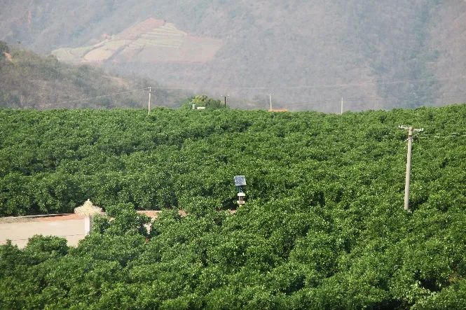 云南农业大学(微信)