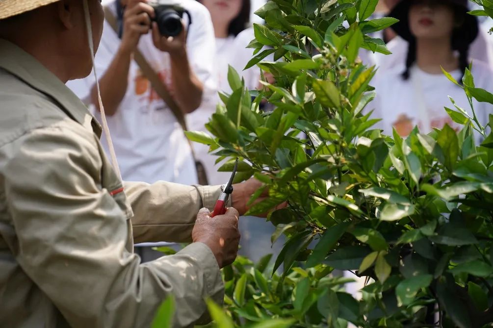 云南农业大学(微信)