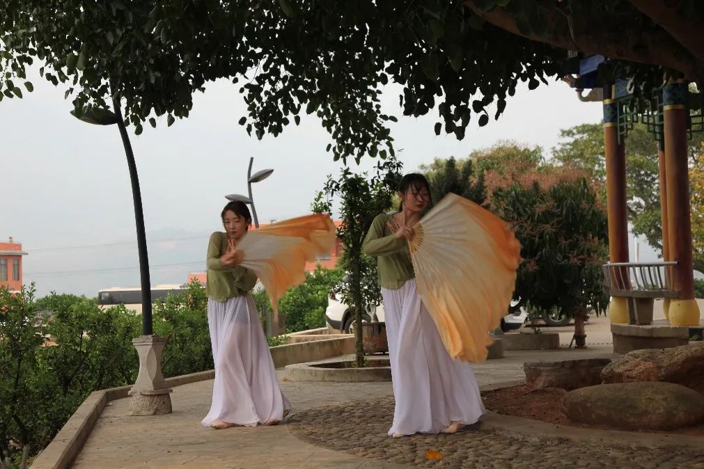 云南农业大学(微信)