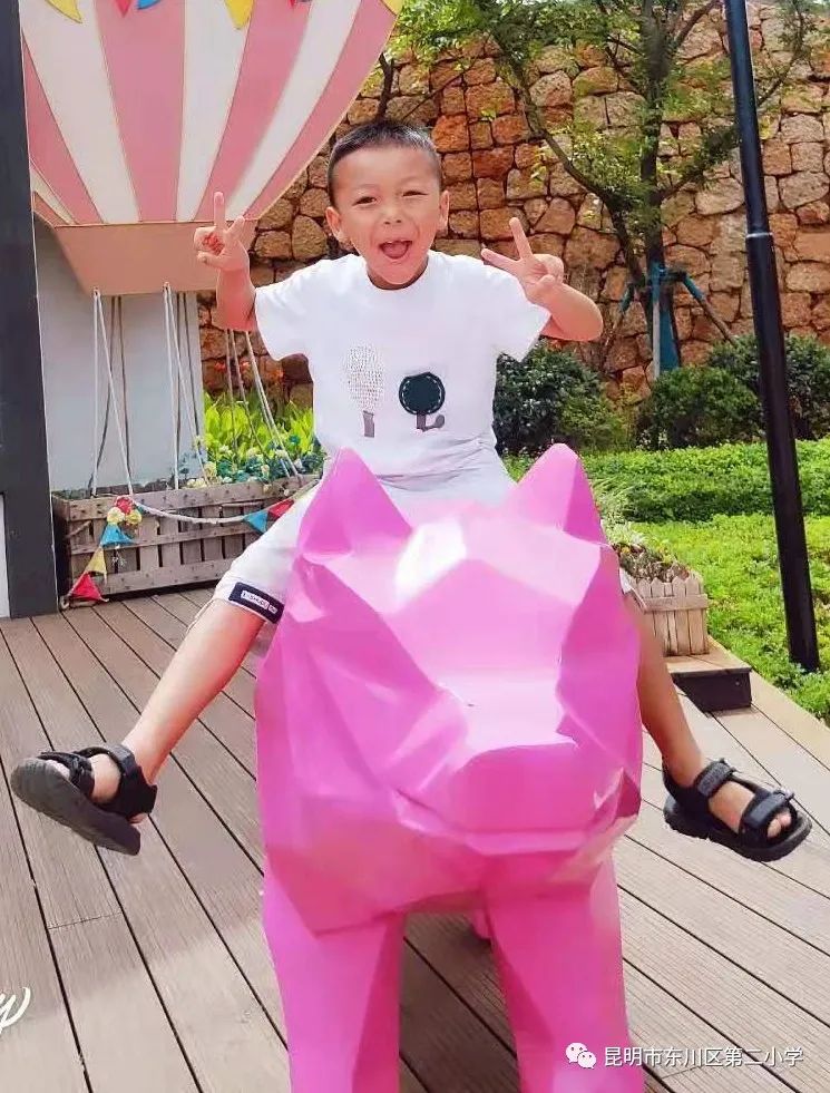 昆明市东川区第二小学(微信)