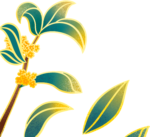 昆明十中(微信)