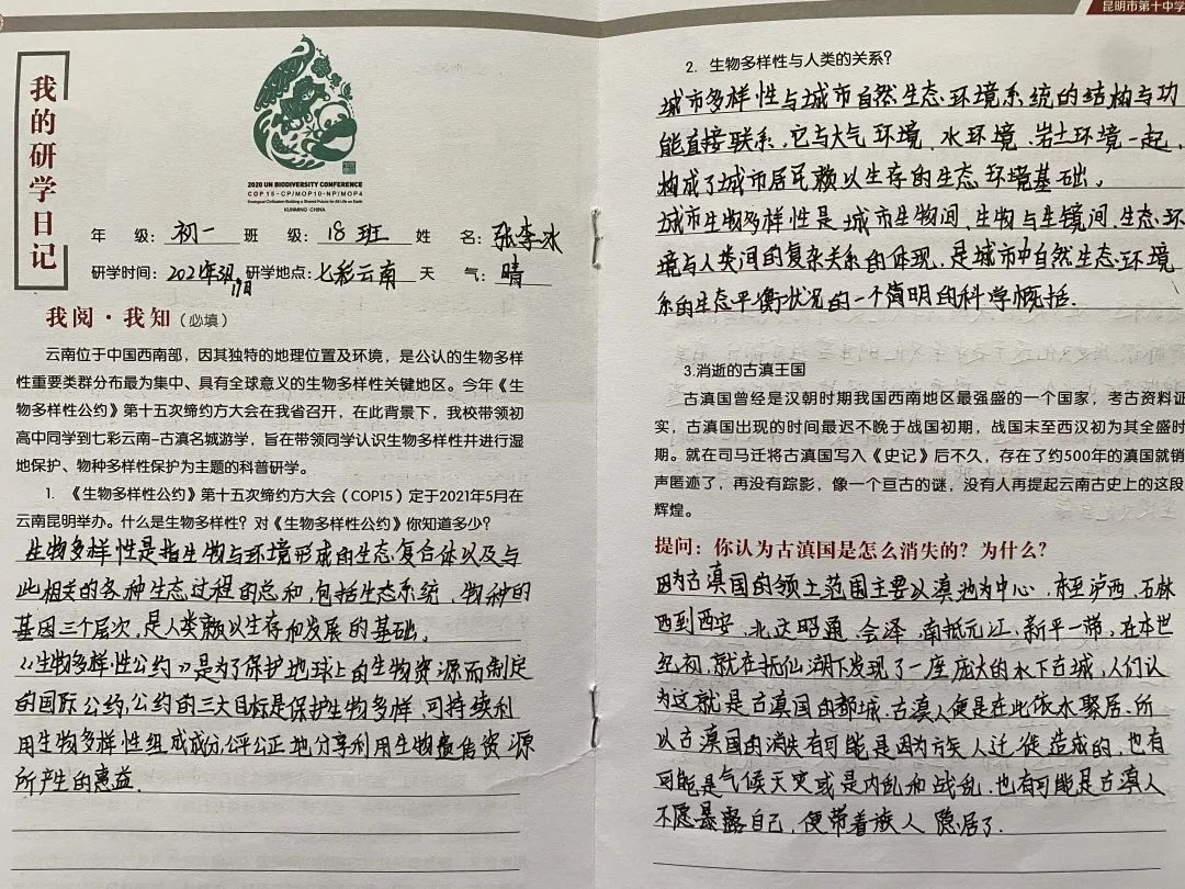 昆明十中(微信)