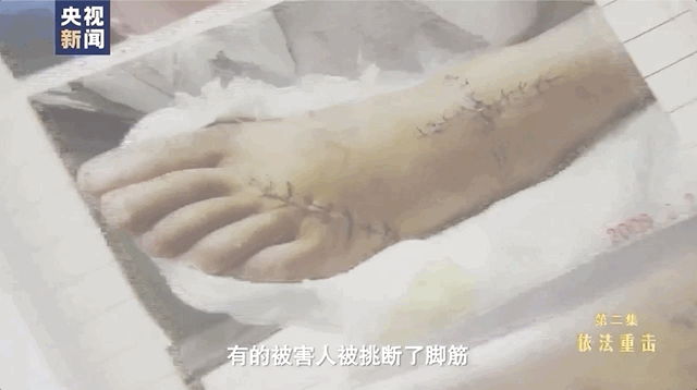 云南信息报(微信)