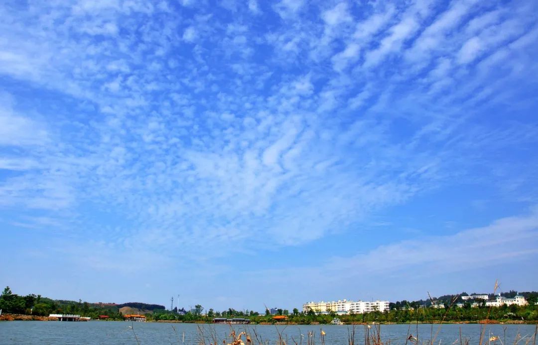 掌上春城(微信)