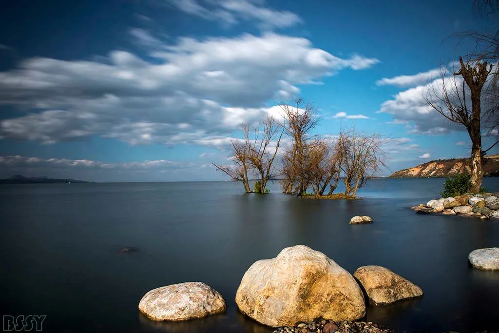 掌上春城(微信)