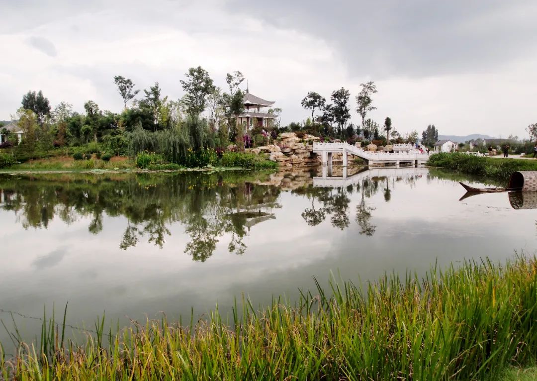 掌上春城(微信)