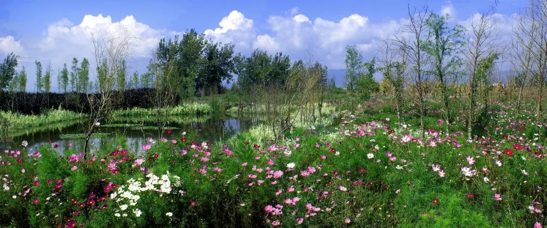 掌上春城(微信)