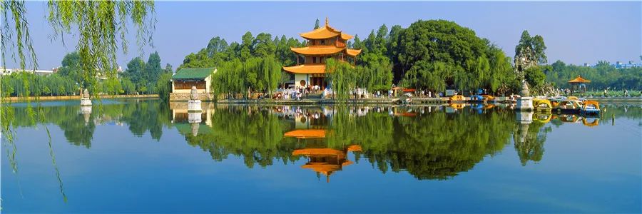 掌上春城(微信)