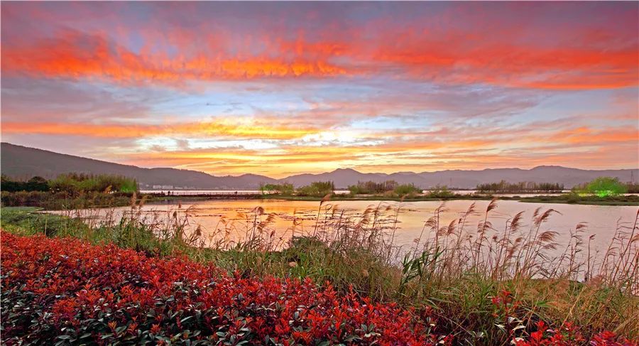 掌上春城(微信)