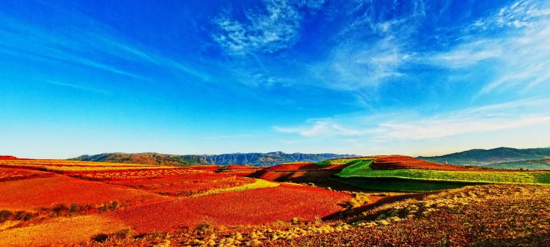 掌上春城(微信)