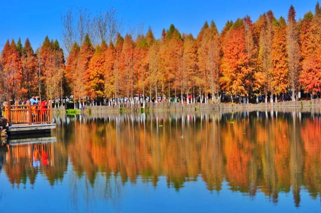 掌上春城(微信)