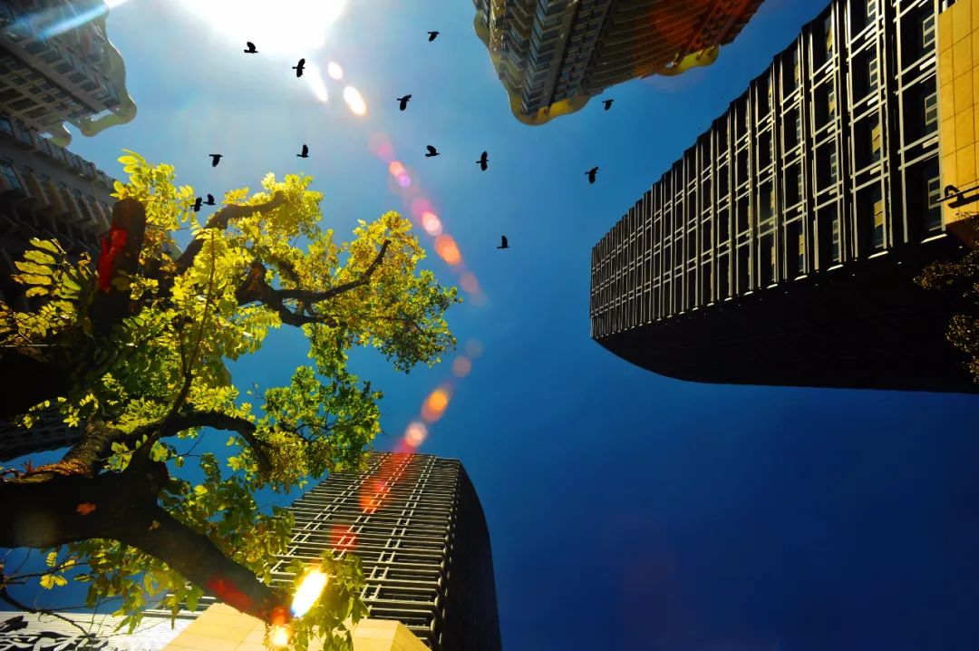 掌上春城(微信)