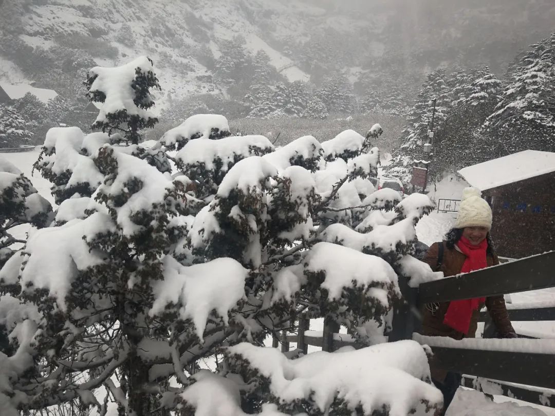 掌上春城(微信)