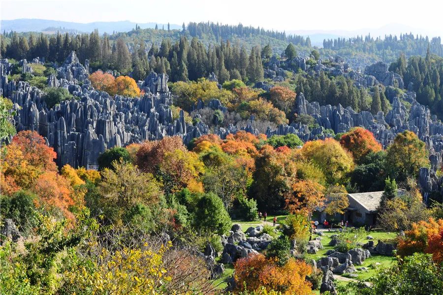 掌上春城(微信)