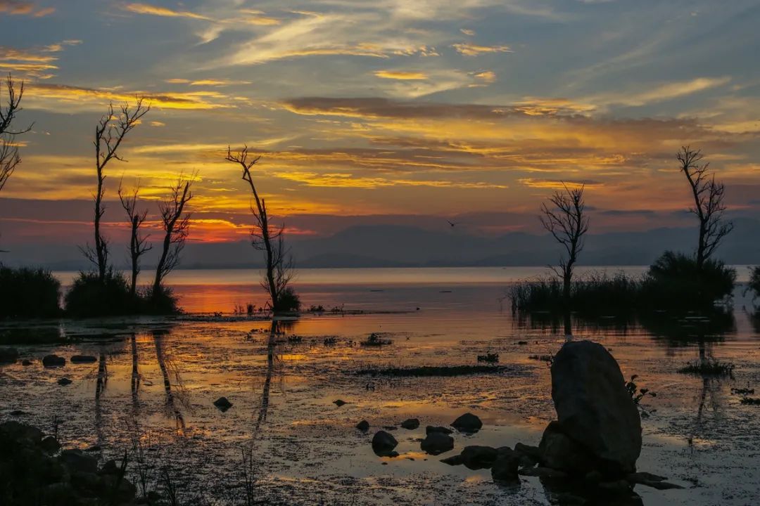 掌上春城(微信)
