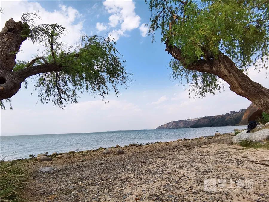 掌上春城(微信)