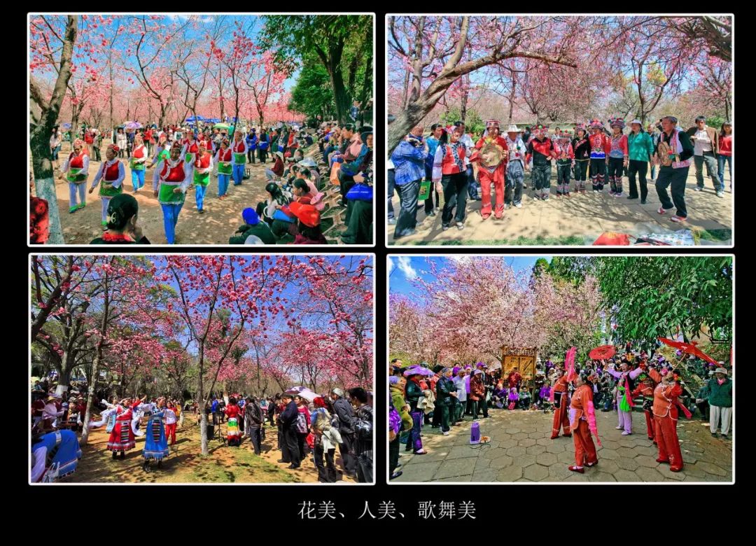 掌上春城(微信)