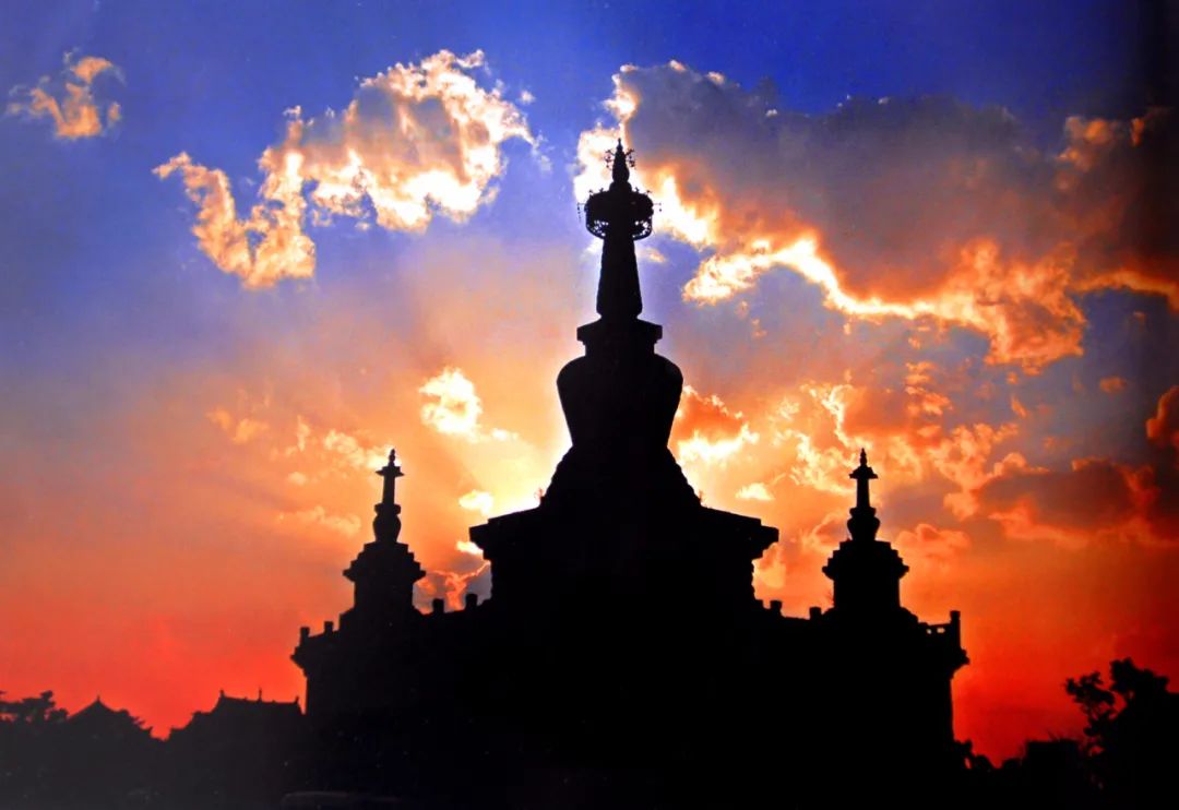 掌上春城(微信)