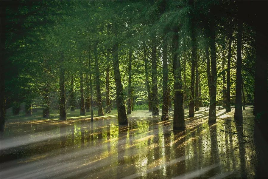 掌上春城(微信)