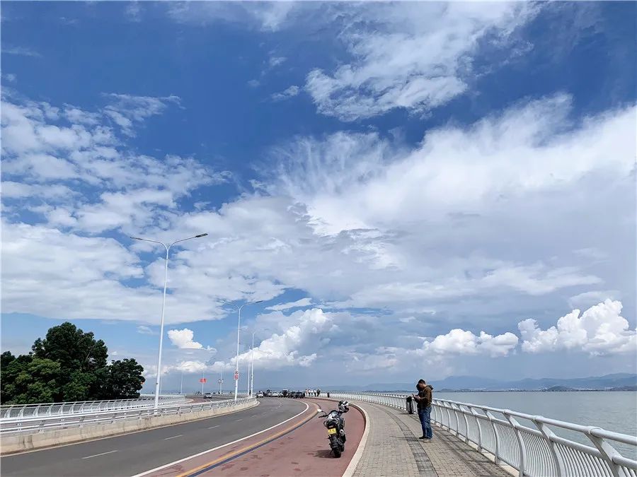 掌上春城(微信)