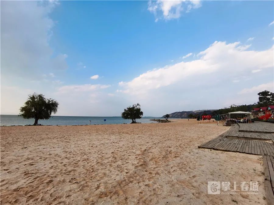 掌上春城(微信)