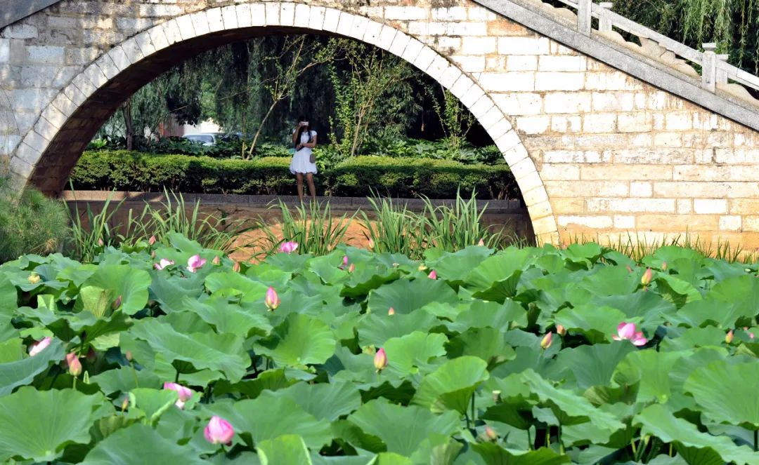 掌上春城(微信)