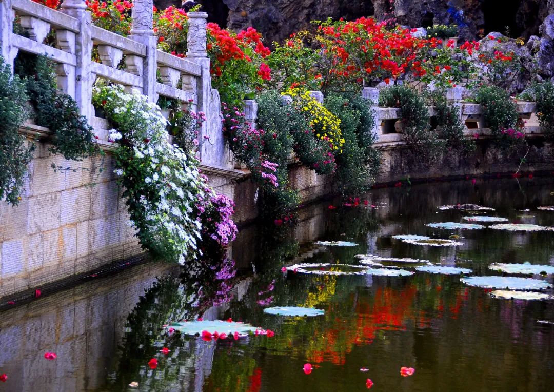 掌上春城(微信)