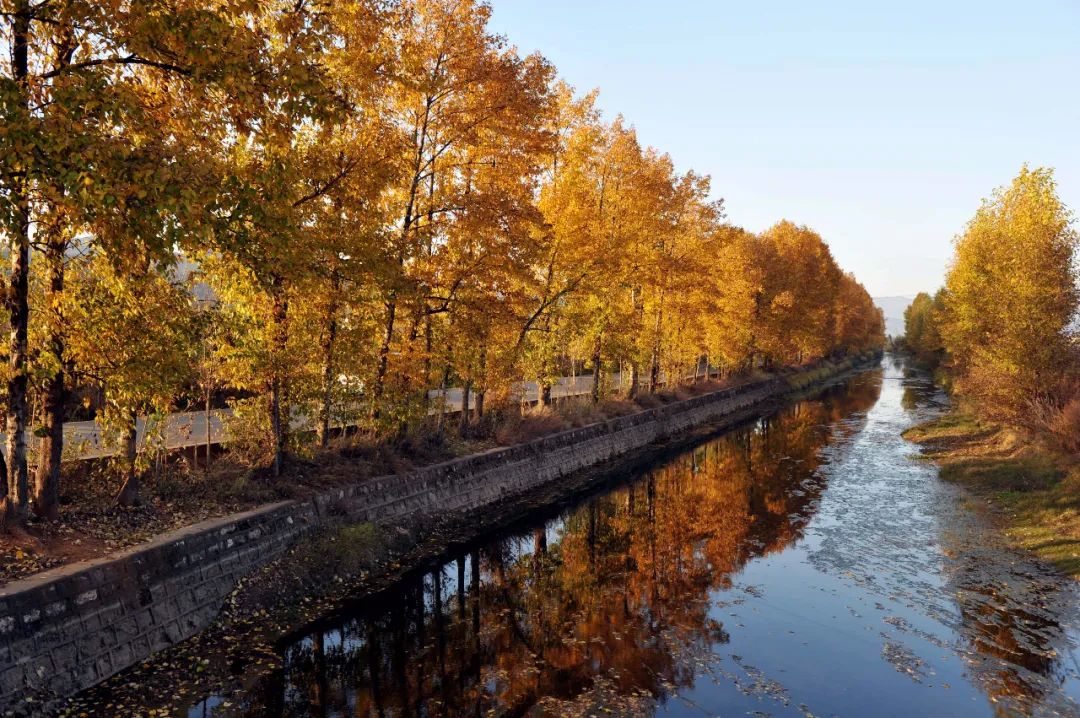 掌上春城(微信)