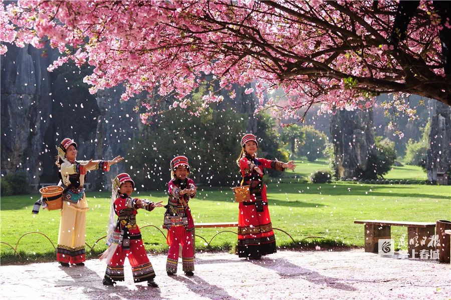 掌上春城(微信)