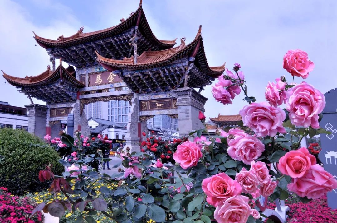 掌上春城(微信)