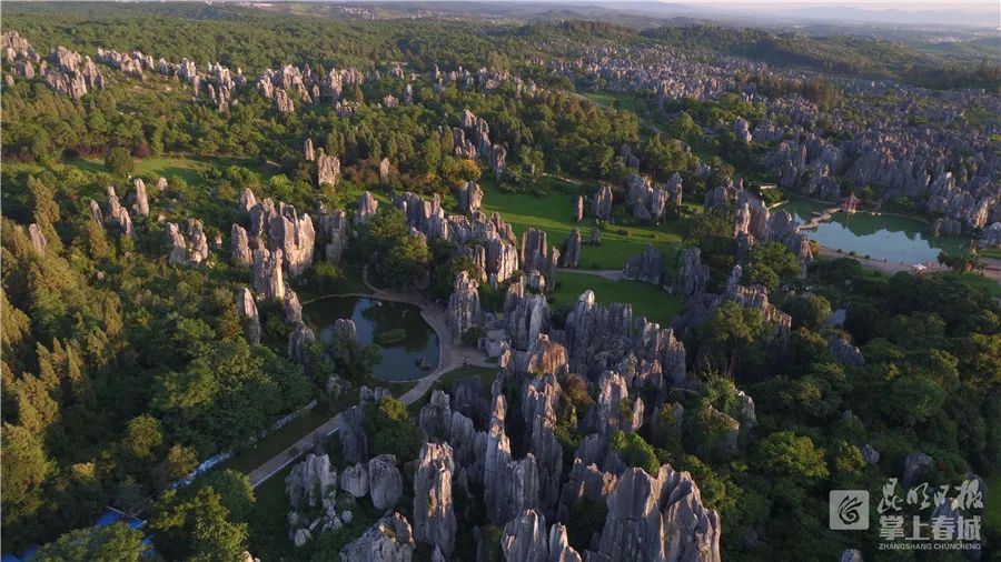 掌上春城(微信)