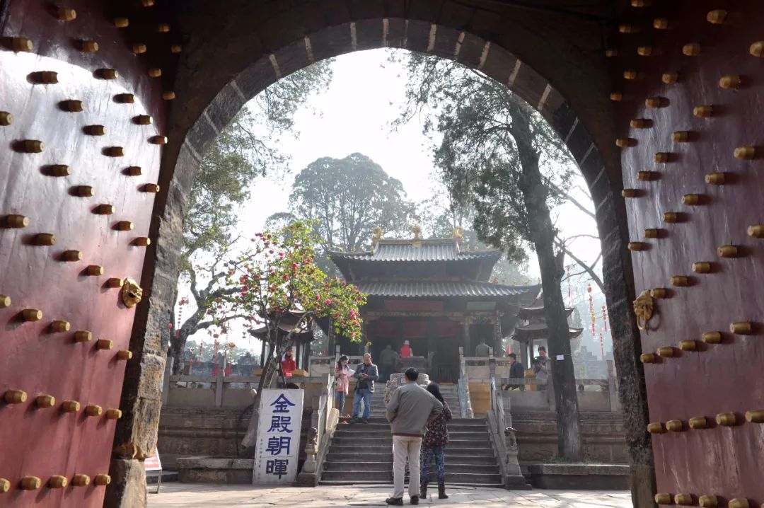 掌上春城(微信)