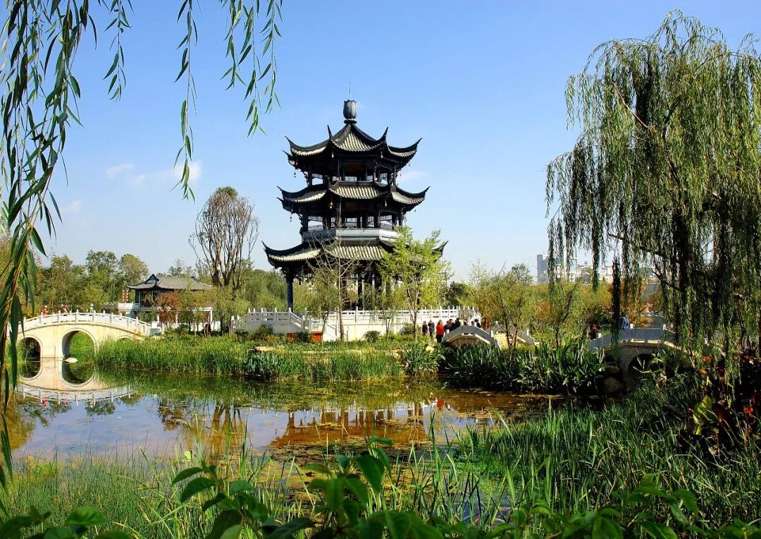 掌上春城(微信)