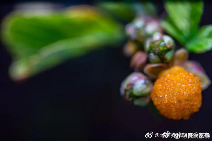 “昆明官渡发布”微博