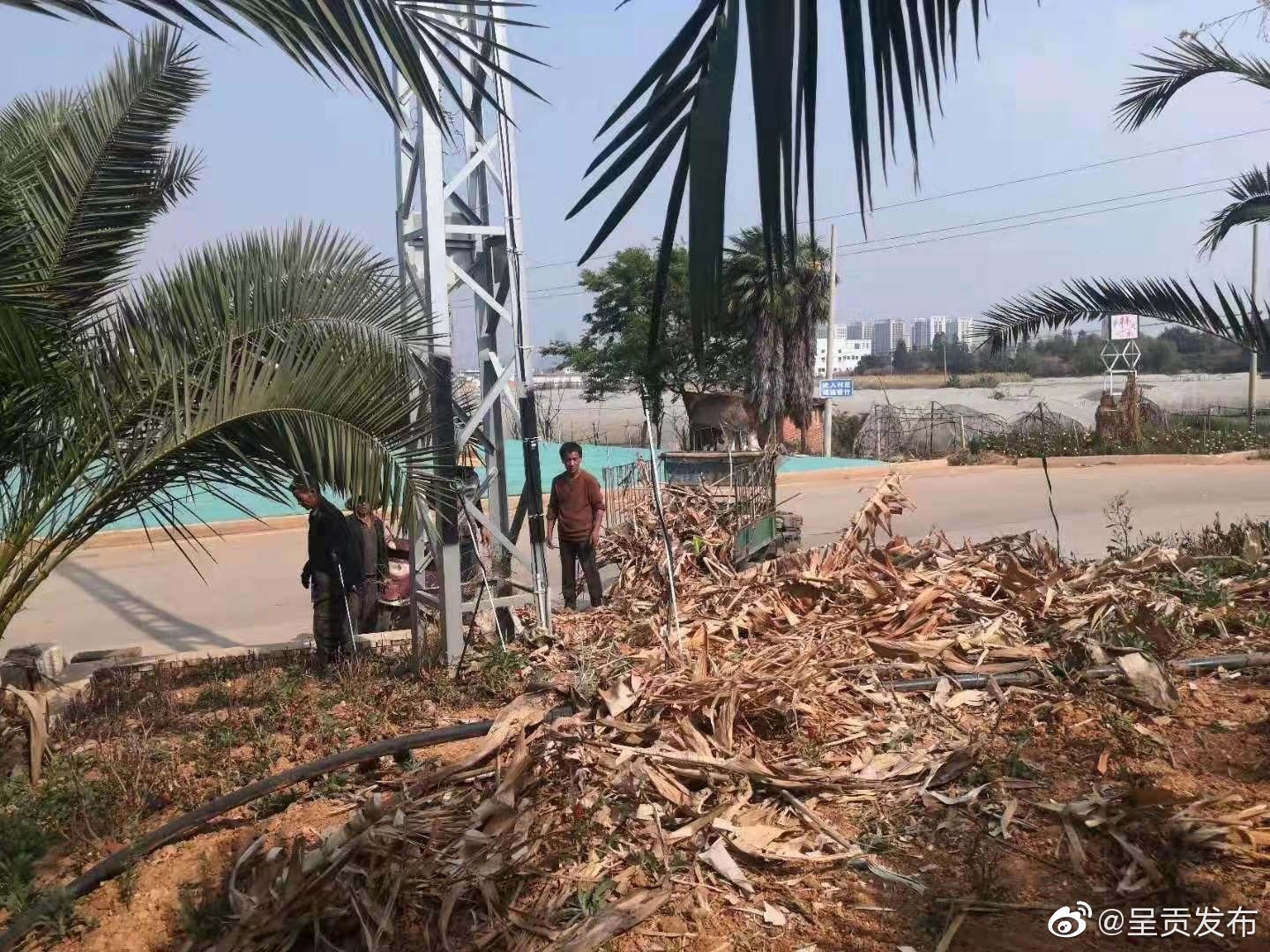 “呈贡发布”微博